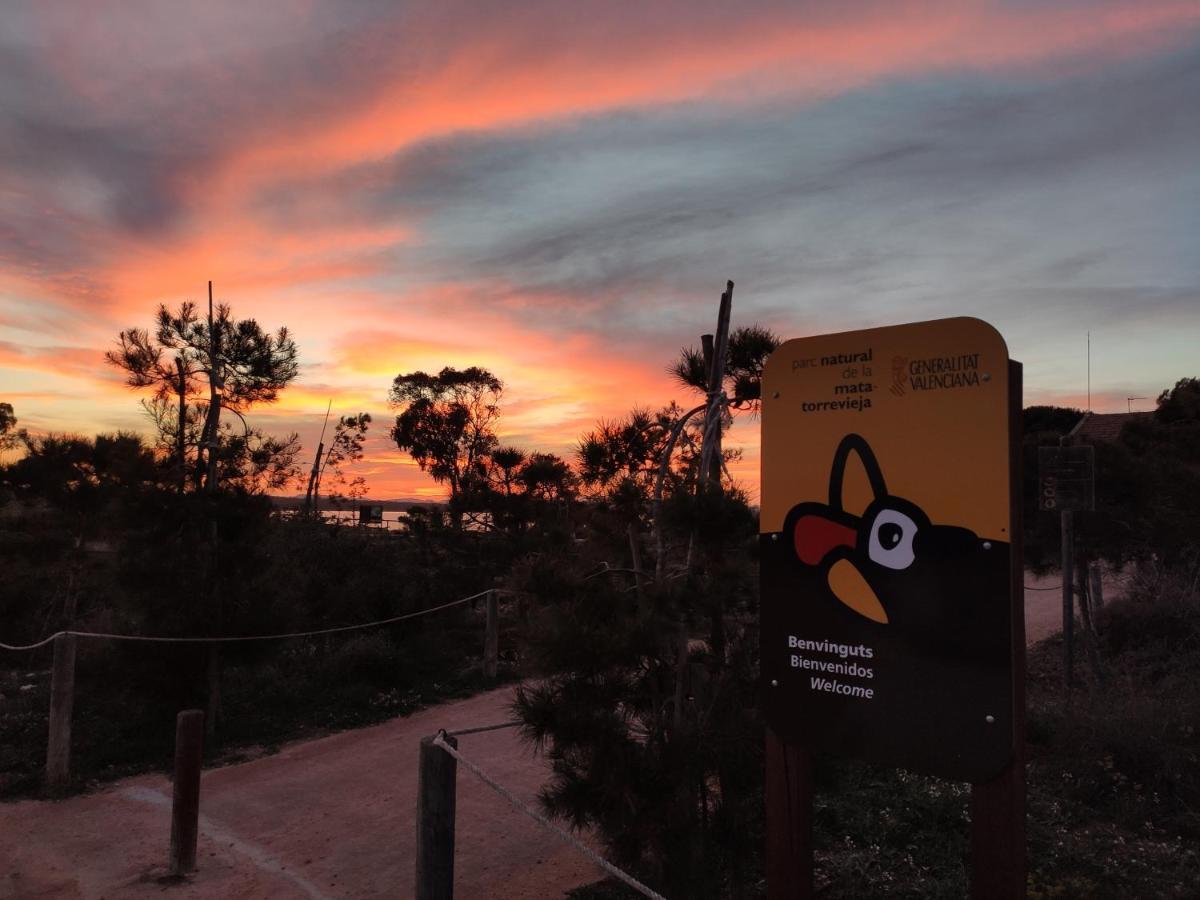 Apartamento Torre Zeus, La Mata, טורבייחה מראה חיצוני תמונה