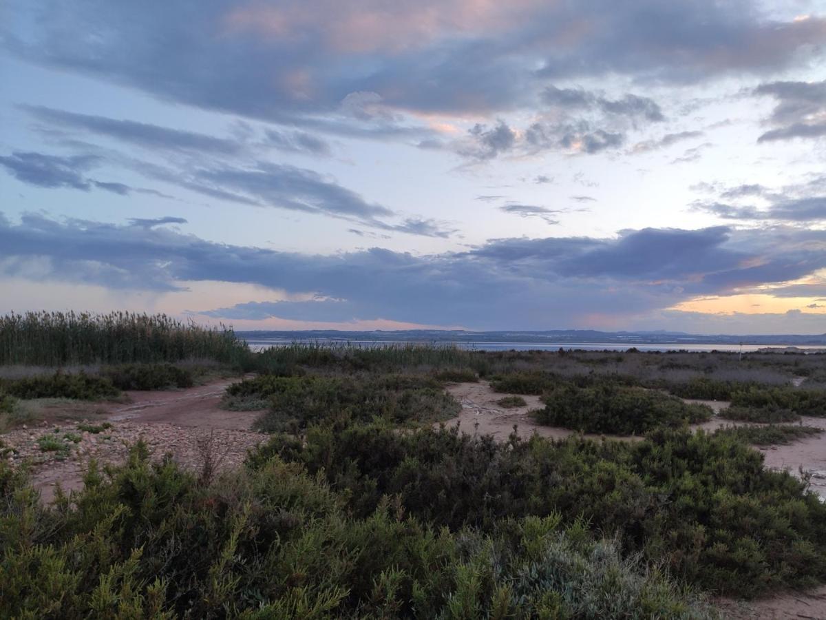 Apartamento Torre Zeus, La Mata, טורבייחה מראה חיצוני תמונה